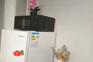 Гармония