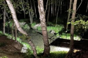 Эко-отель «Деулино» в Рязанской области