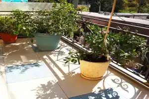 Гостевой дом «Грант Курорт», Адлер