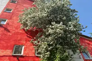 Гостиница «Виктория», Пермь