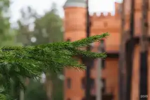 База отдыха «Янтарь», Красный Камень