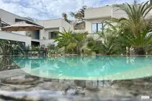 Гостиница «Little Palm», Ольгинка
