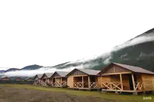 Алтайэкокедр, Акташ