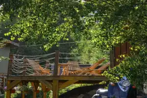 Harvest в Забайкальском крае