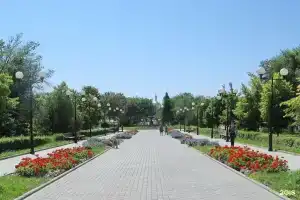 Гостиница «Дмитриевская», Камышин