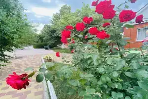 База отдыха «Эдем», Павло-Очаково