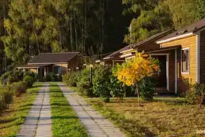 Усадьба Кузьмищево, Кузьмищево