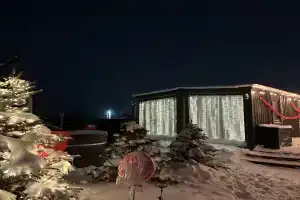 Сканди Лайф, Ильинское