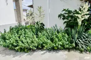 Гостевой дом «Морская жемчужинка»