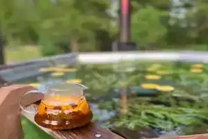 База семейного отдыха Сибиряки, Аскат