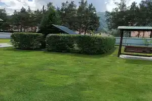 Усадьба Бачуриных, Чемал