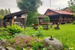 Кедровый дом Петровича, Соузга
