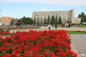 Тонус, Назарово