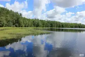 Ласково - Гостиницы Ласково - Гостиницы