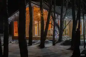 Дыхание леса, Зеленовка