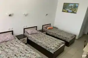 Гостиница «Белые Лебеди», Пестравка