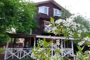 Guest House Altin, Кострома