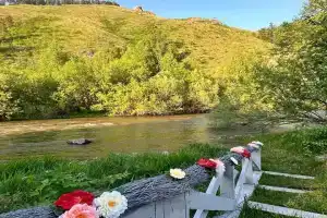 База отдыха «Базаиха River», Красноярск