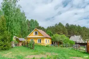 Селигер виледж, Никола Рожок