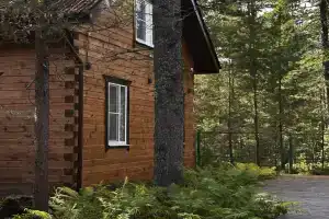 Вилладж Хвоя, Новоснежная