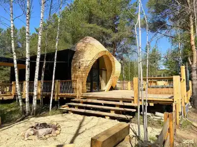 Кедр Глэмп - 172