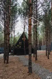 Хвоя - 8