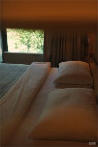 Skazka Lodge Приэльбрусье - 133
