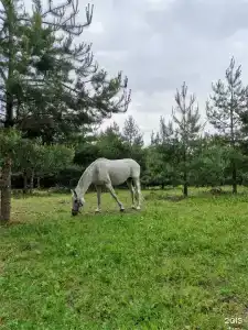 Круиз Вилладж - 127