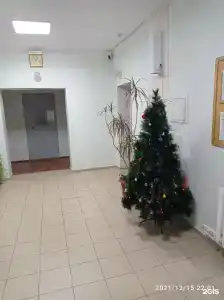 Надежда - 14