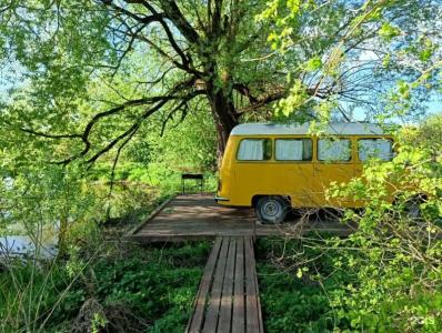 Hippy - 54