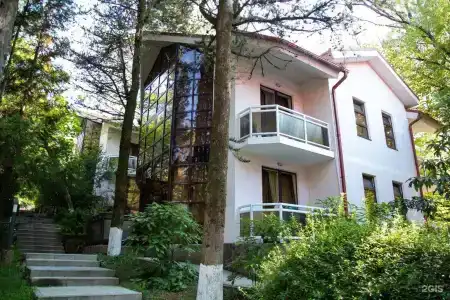 Ателика Сокол - 2