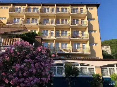 Пальма - 0