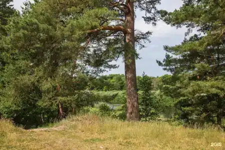 Славянка - 33