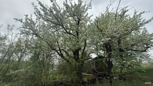 Гостевой дом на Бугре - 24