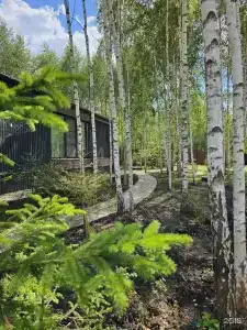 Рыжий лис - 32