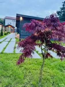 Хвоя Cottage House - 24