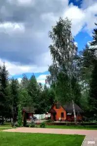Усадьба Коноваловых - 78