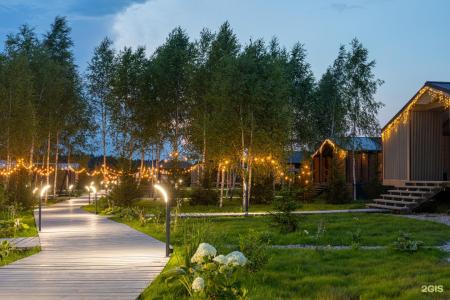 Garnet holiday. Green forest - 14