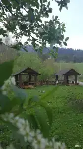 Тихий Стан - 22