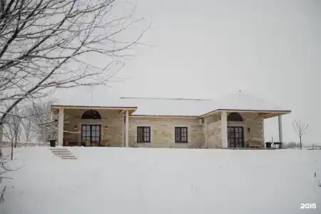 Мальвы - 81