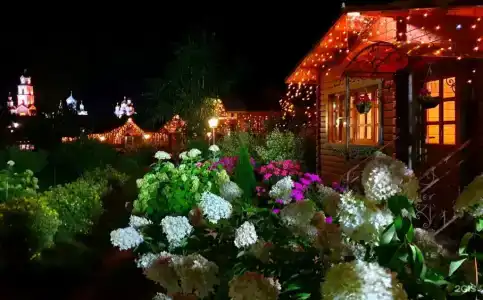 Дивный дворик - 118