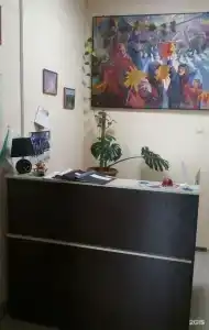 Горизонт - 1
