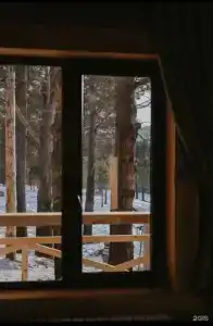 Шинки - 15