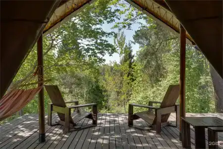 Российские альпаки - 22