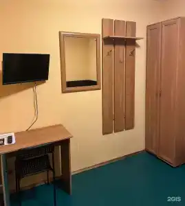Снегири - 54