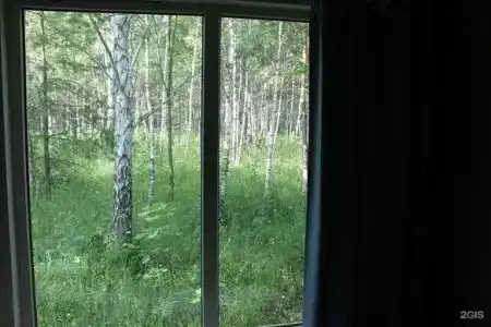 Лесной сон - 102
