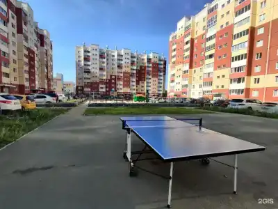 (студия) на Седова 6 - 33