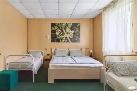 Зеленый - 111