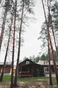 Хвоя - 53