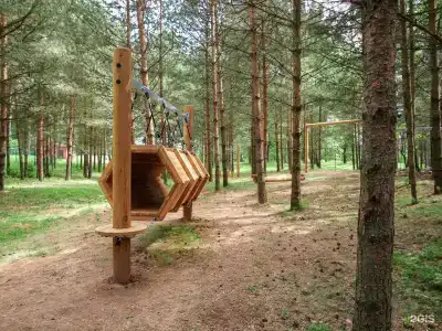 Спасское - 71